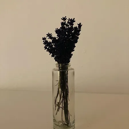 2 *